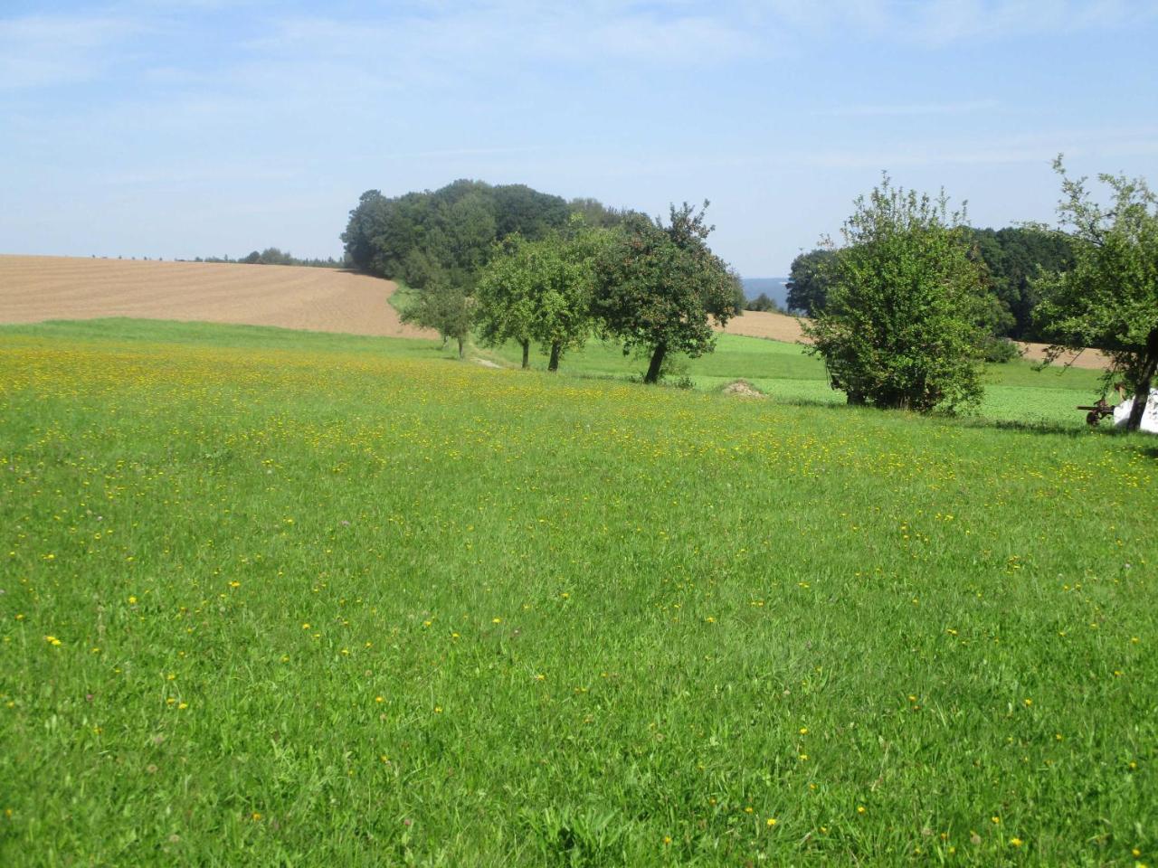 Blumenschein-Ferienwohnung Unne Kirchzell Exterior foto